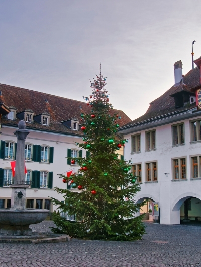 große Weihnachtsbäume in Erfurt kaufen